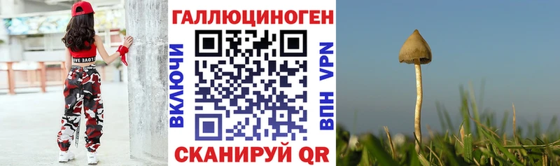Псилоцибиновые грибы прущие грибы  где продают наркотики  Долгопрудный 